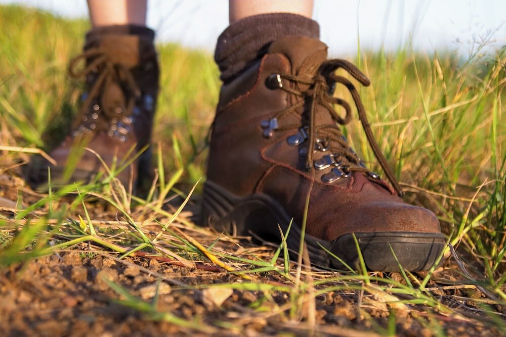 Фото Rhino Walking Safaris