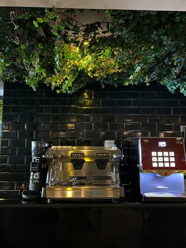 Гостиница Falcon 1511 в Анталье