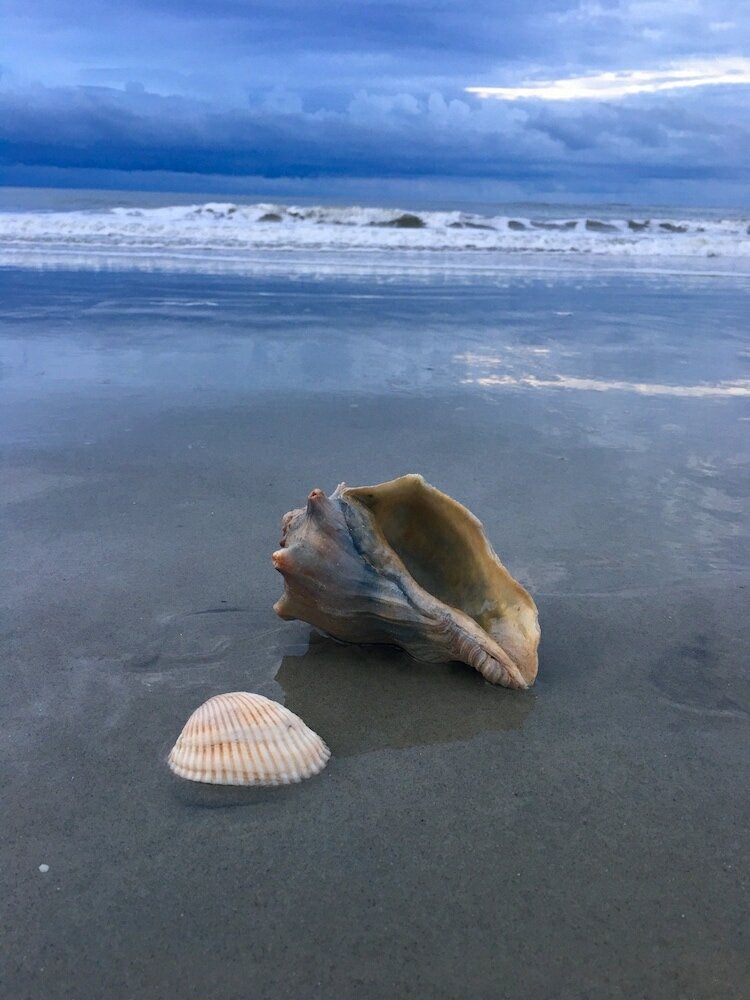 Фото Hotel Tybee