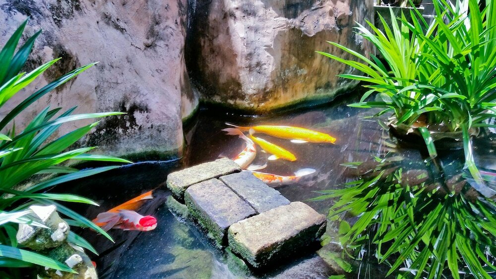 Фото Ben's House