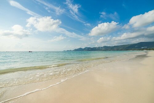 Гостиница Muang Samui SPA Resort в Провинции Сураттани