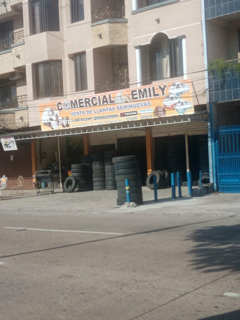 Attorney Llantas Comercial Emily & Emerson, Santa Cruz de la Sierra, photo
