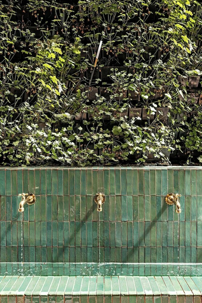 Фото 120549804721