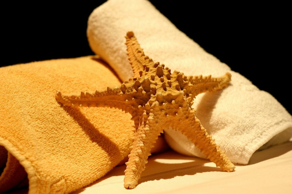 Фото Ibersol Torremolinos Beach