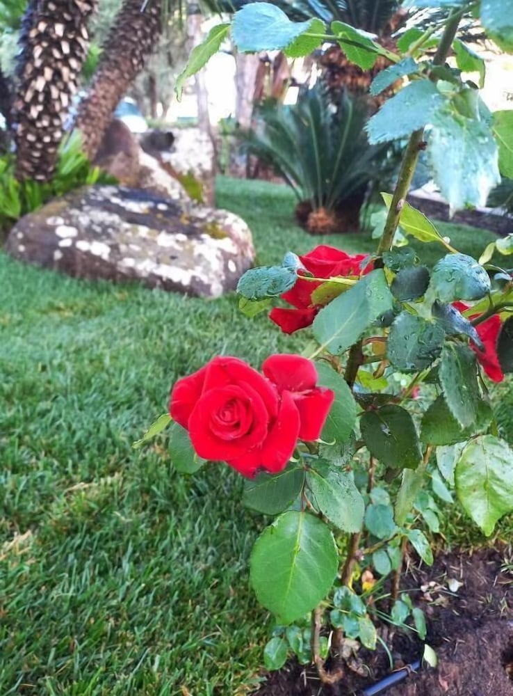 Фото Apart Green Sporting Club