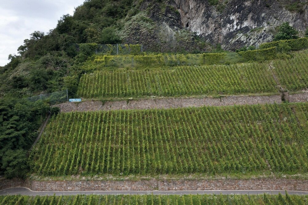 Фото Seminaris Hotel Bad Honnef