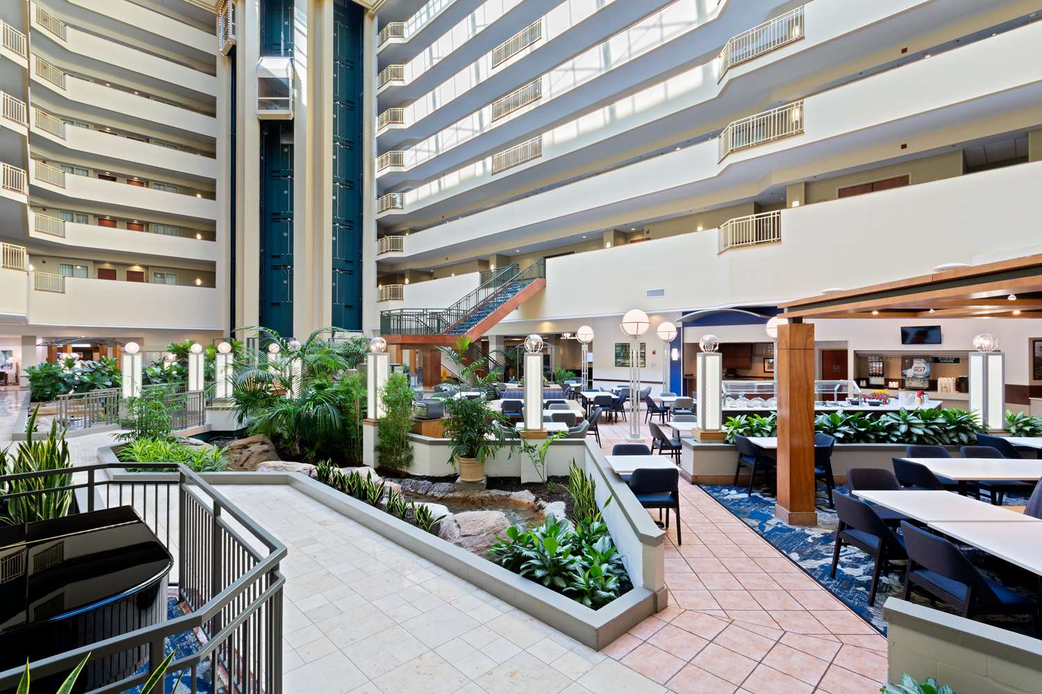 Фото Embassy Suites by Hilton Tampa Usf Near Busch Gardens