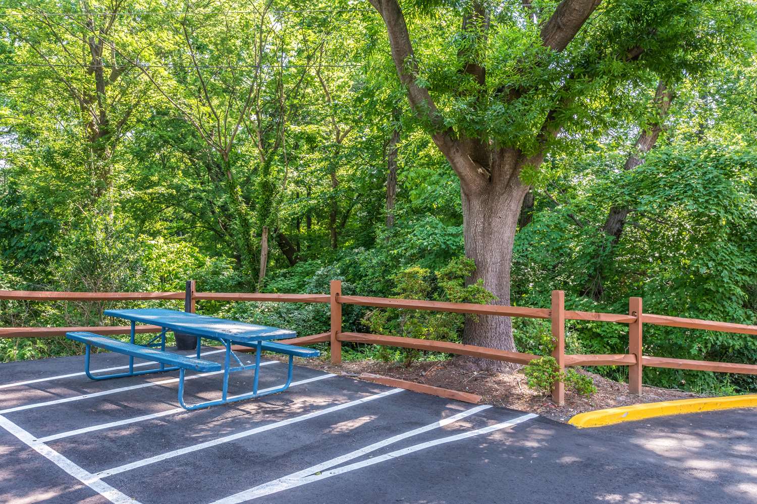 Фото Comfort Inn Charlotte Airport Uptown