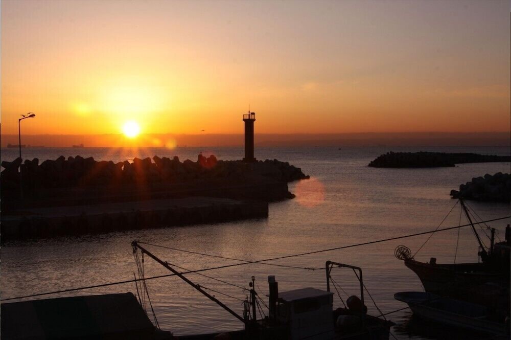 Фото Damoa Pension