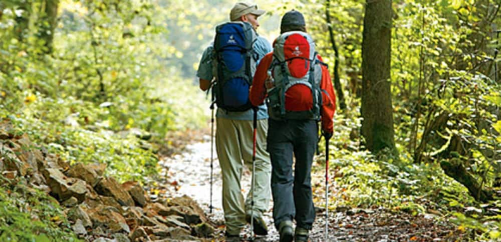 Фото Hotel an der Sonne