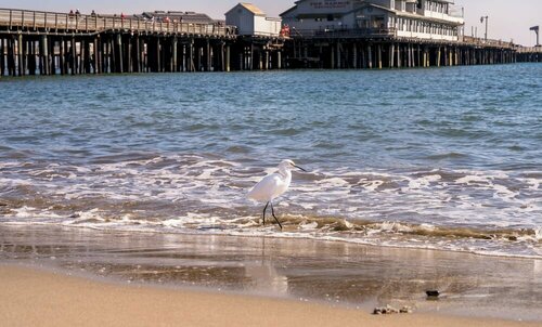 Внешний вид отеля The Eagle Inn в Санта-Барбаре, фото 4