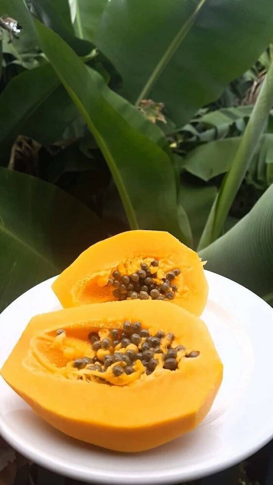 Фото Dayspring Lodge