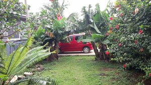 Гостиница Dayspring Lodge