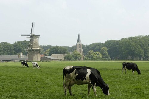 Внешний вид отеля Mooirivier в Дафлсене, фото 5