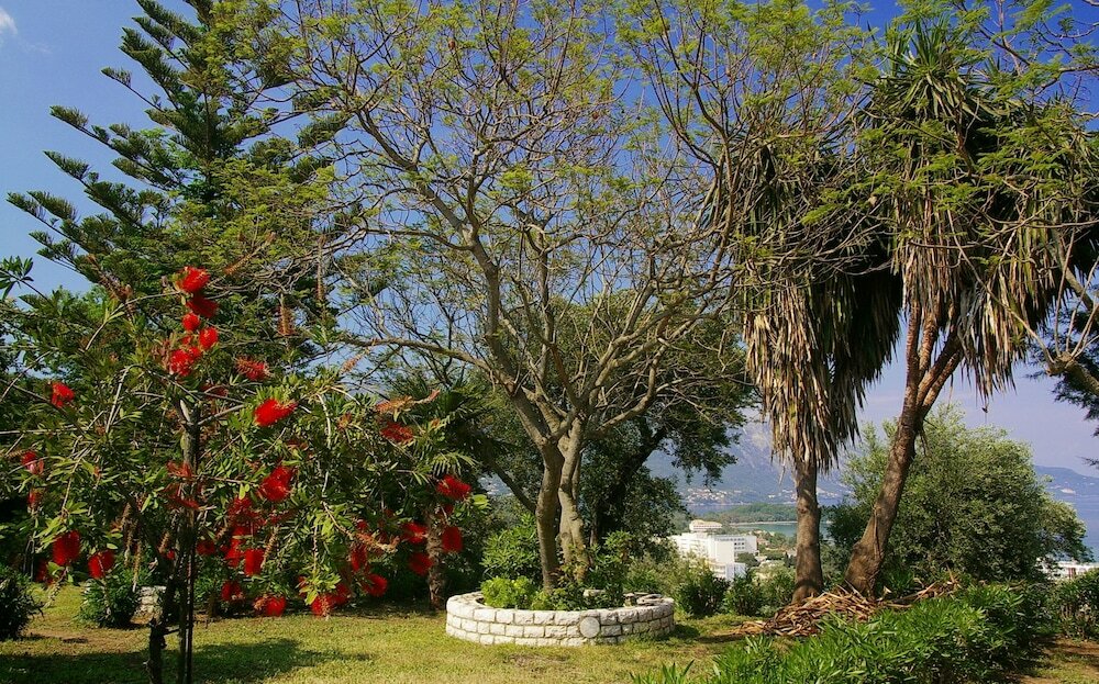 Фото Marialice Apartments