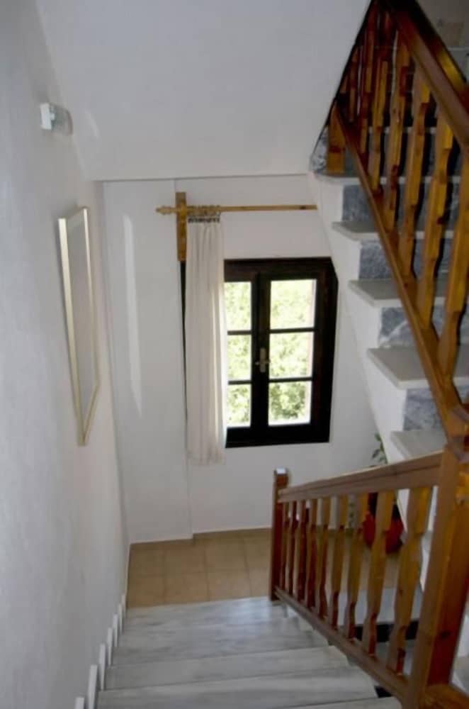 Фото Pension Butterfly