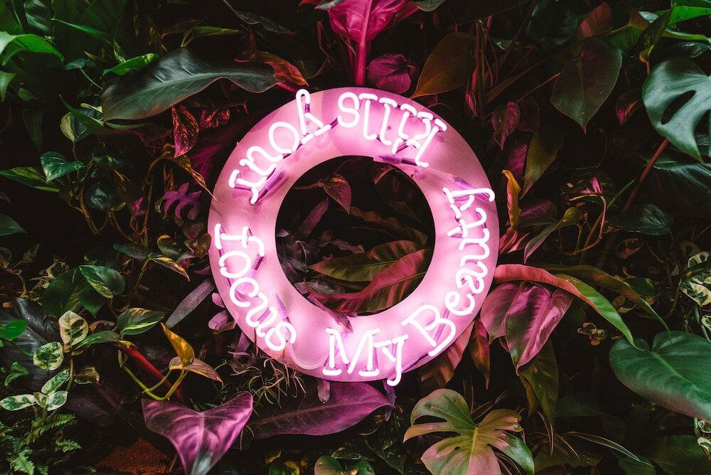 Фото Hotel The Dutch