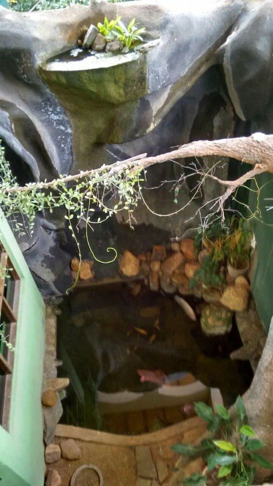 Фото Ka Mario Guesthouse