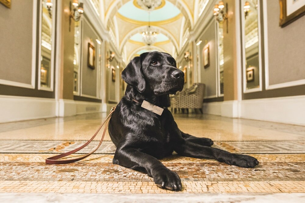 Фото Fairmont Copley Plaza, Boston