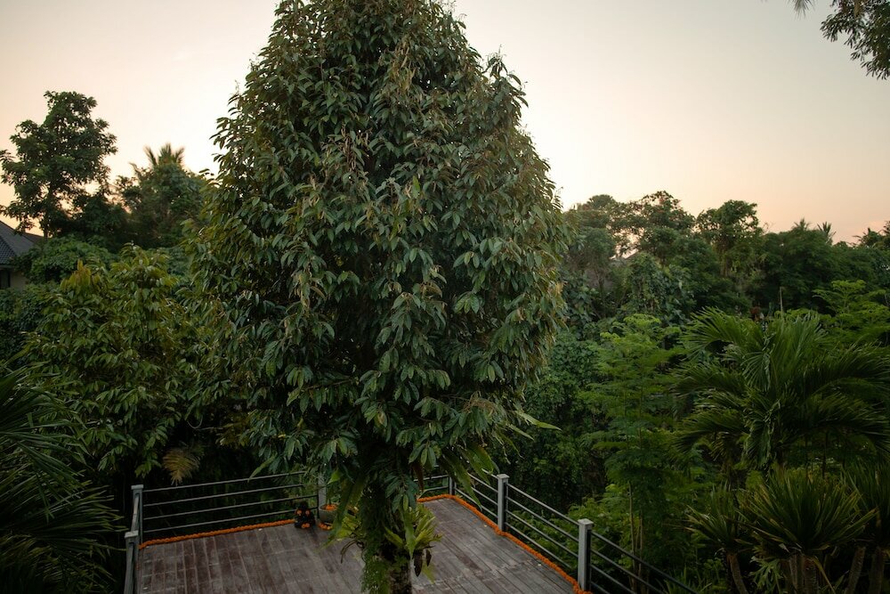 Фото B Saya Villas Ubud