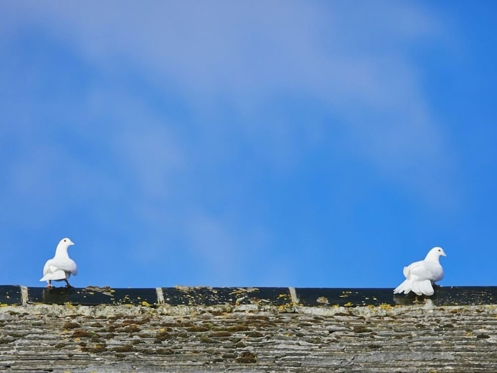 Фото Bosavern House