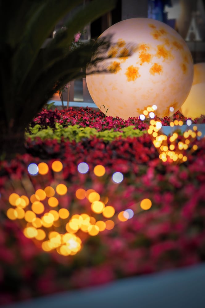 Фото Shangri-La Changchun