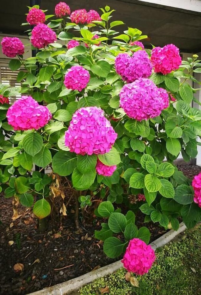 Фото Belmont Motor Inn