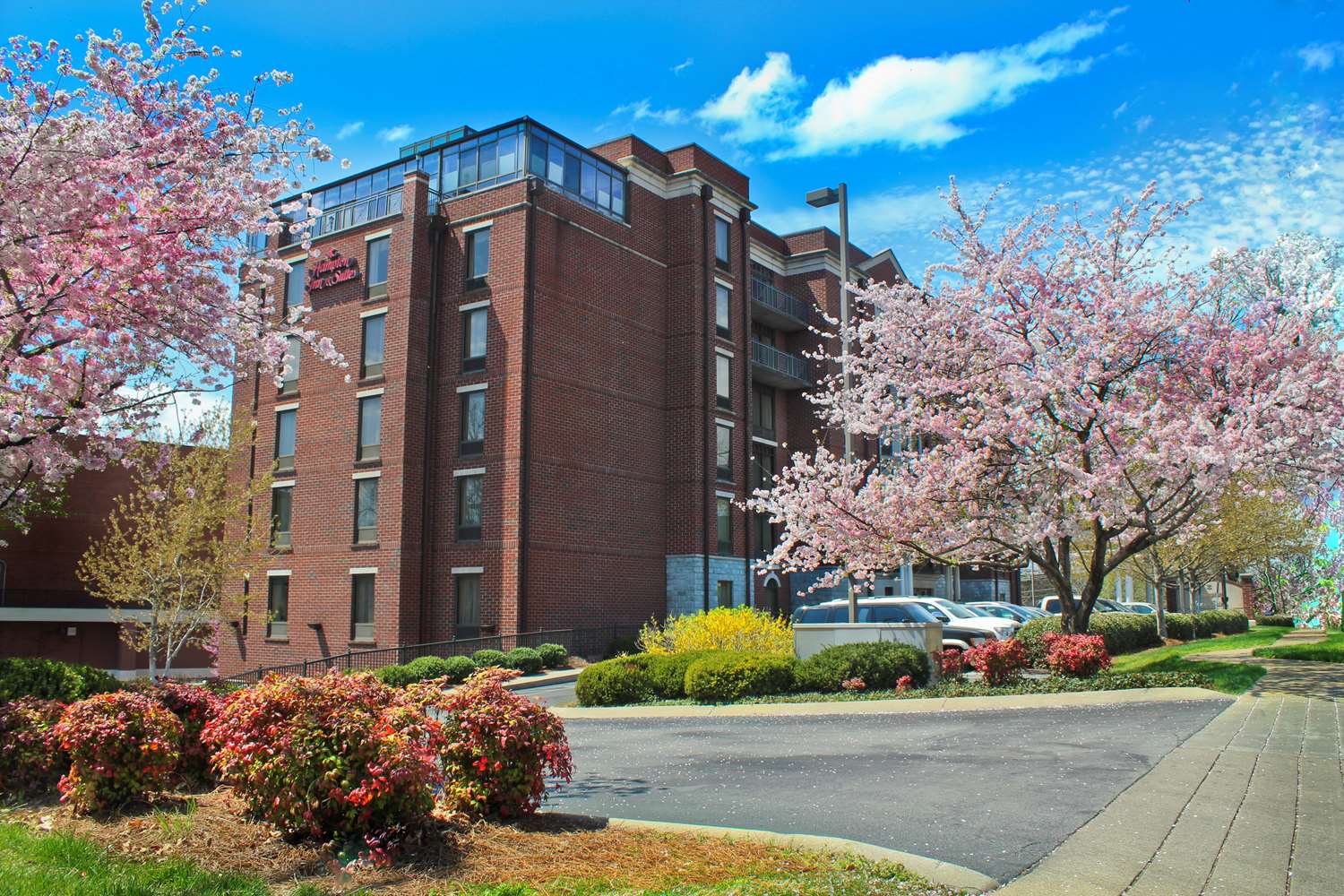 Фото Hampton Inn & Suites Nashville-Green Hills