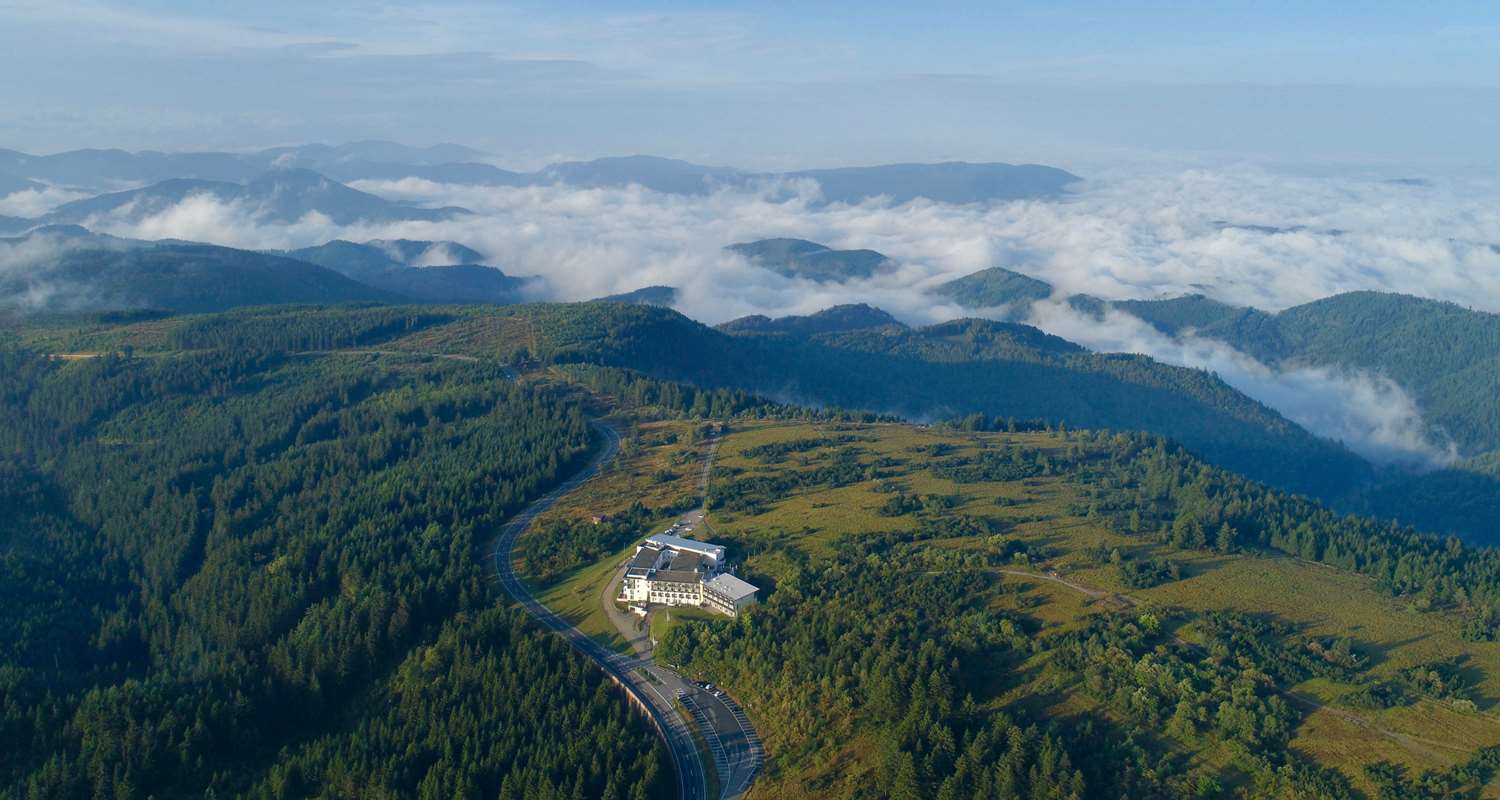 Фото Wellness- & Nationalpark Hotel Schliffkopf