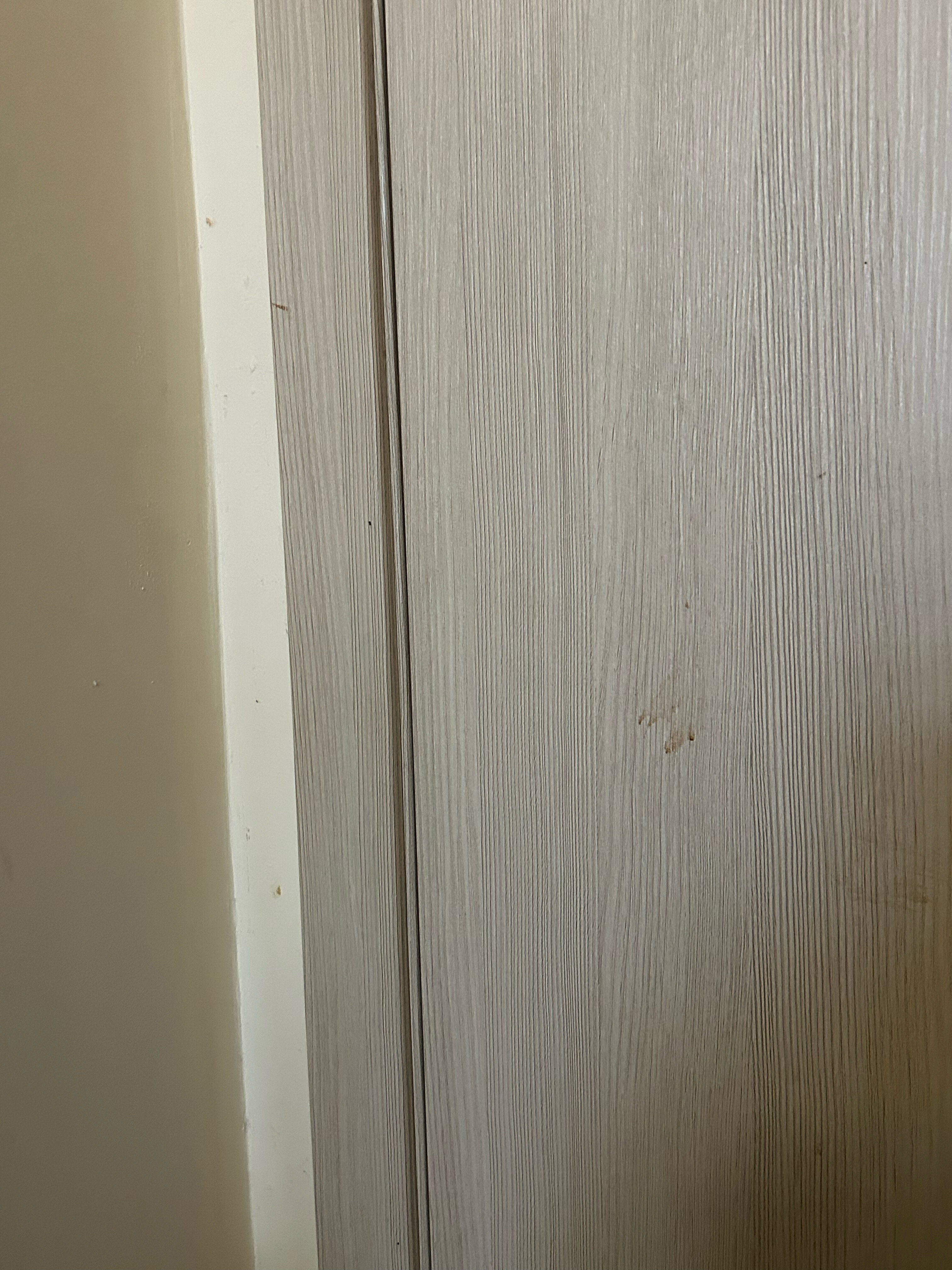 Фото Acme Petrogradskaya