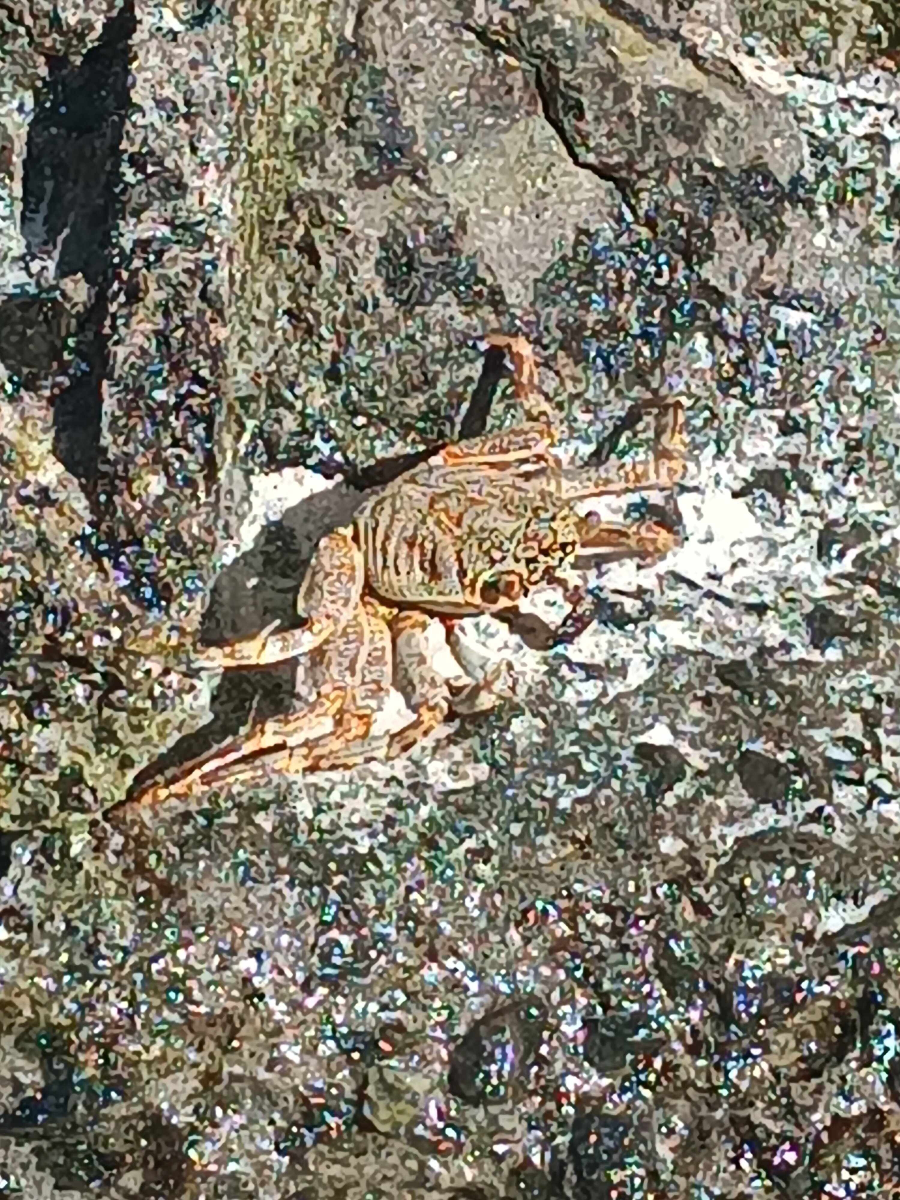 Фото Equator Village 