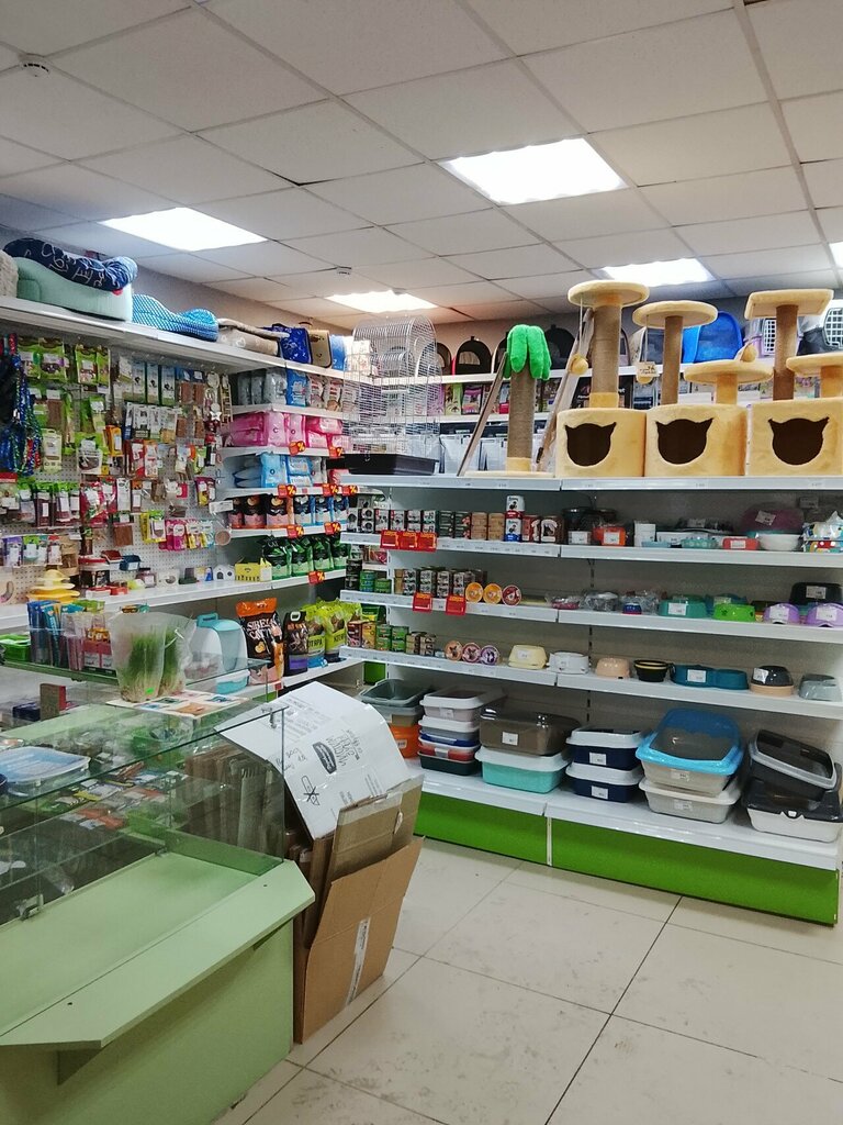 Pet shop Planeta Zoo, Tomsk, photo