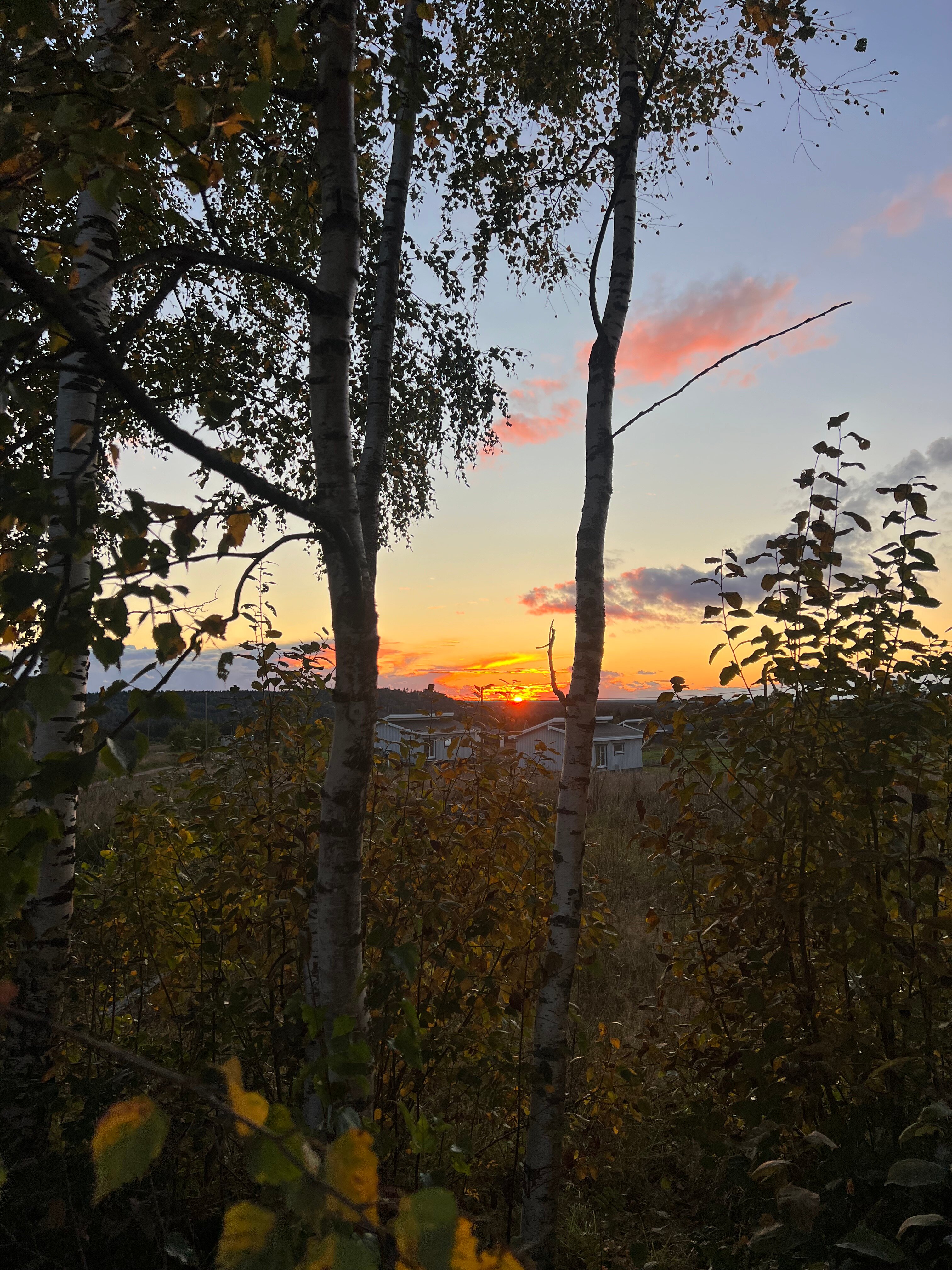 Фото Светло внутри