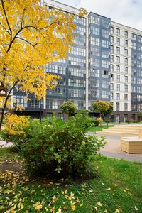 ColorSpb Современник