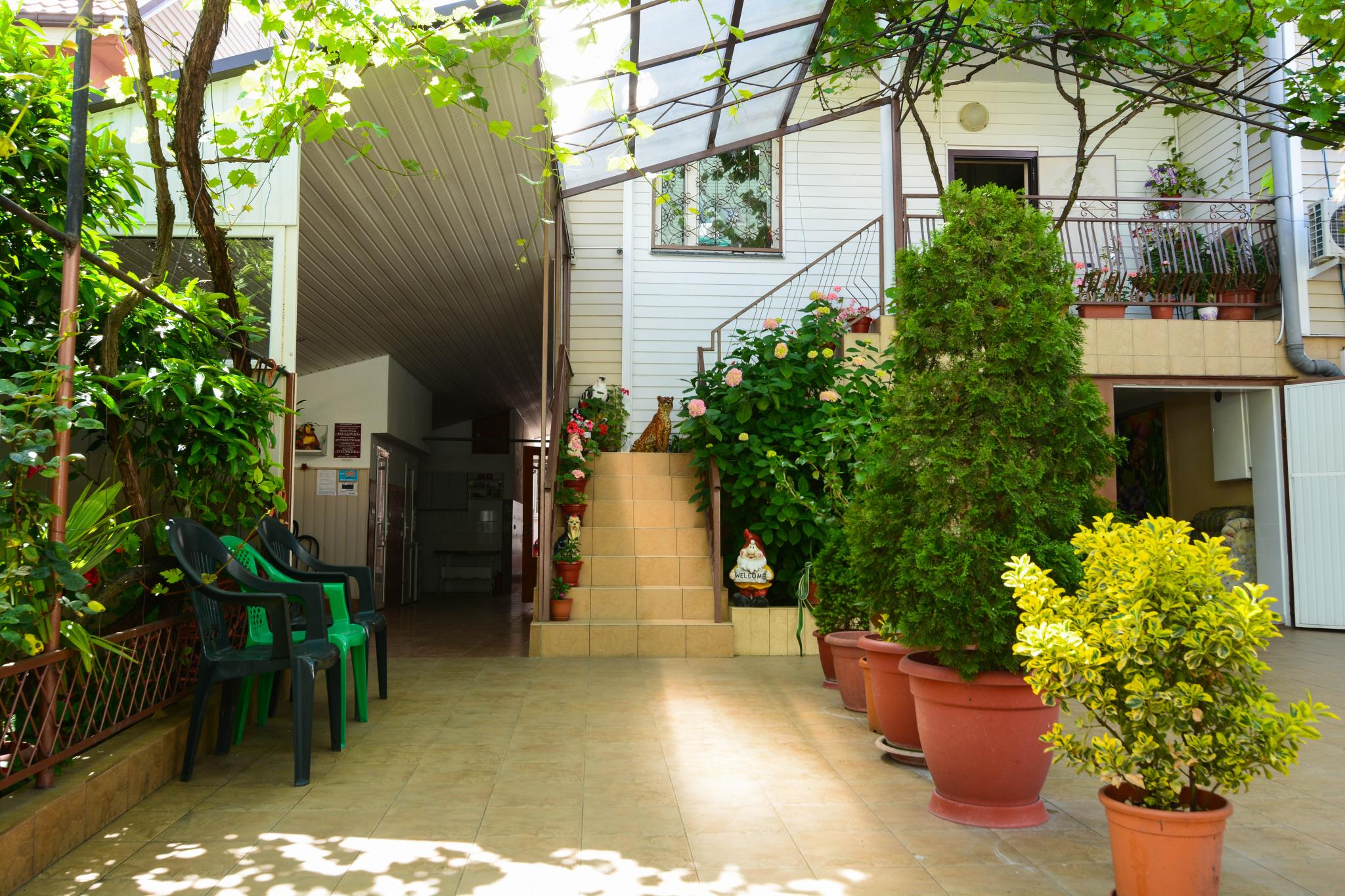 Фото Звёздочка