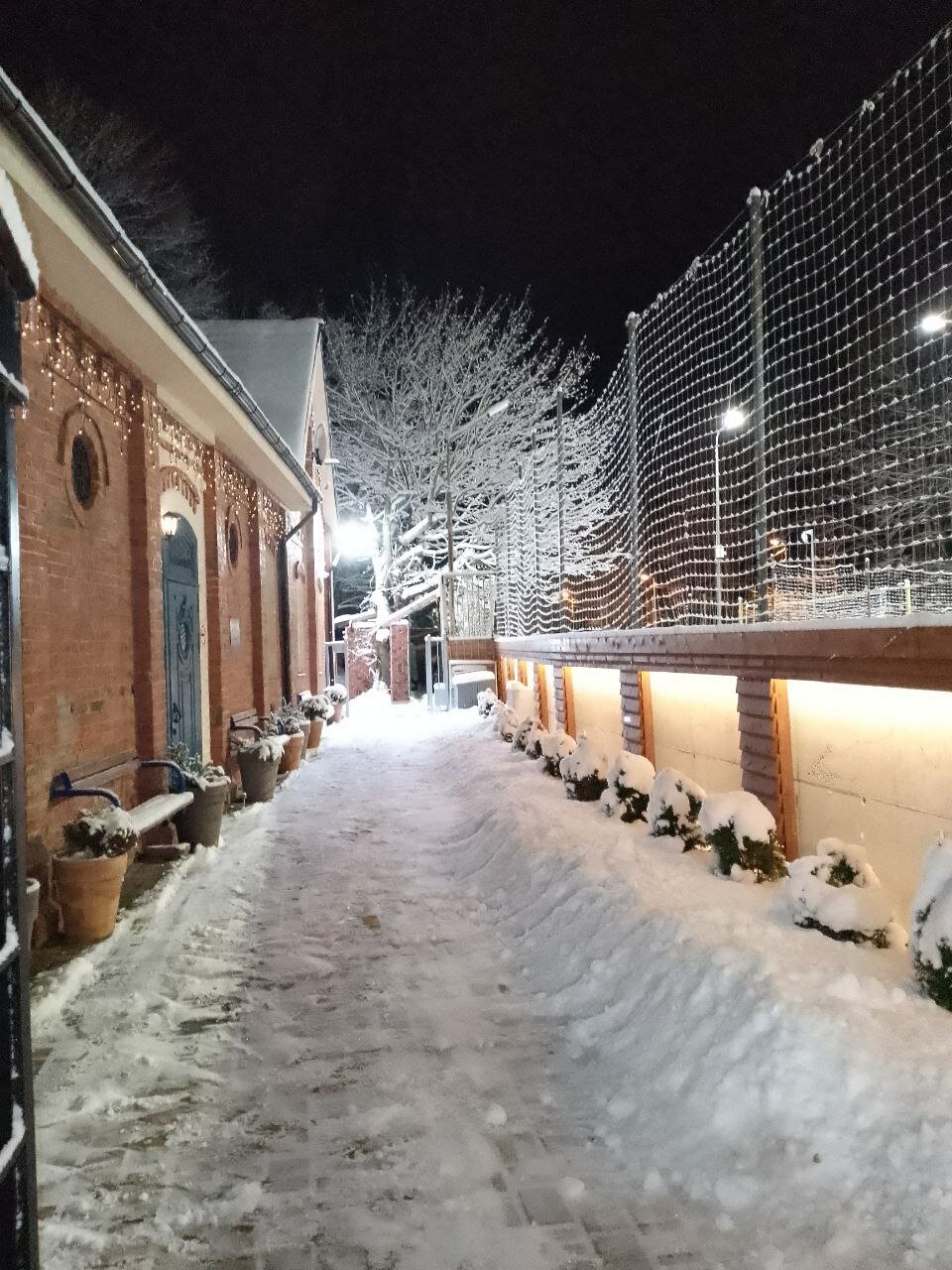 Фото Золотые пески