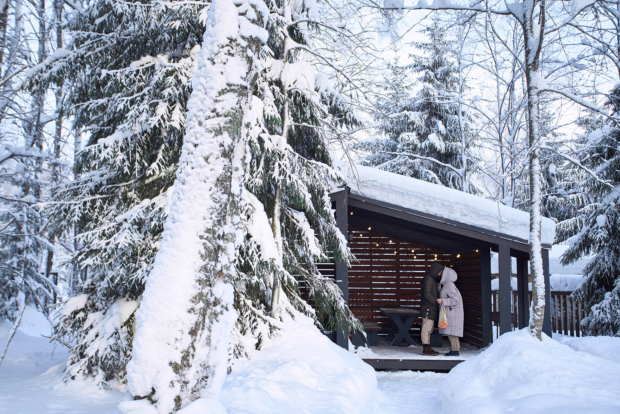 Фото Черника