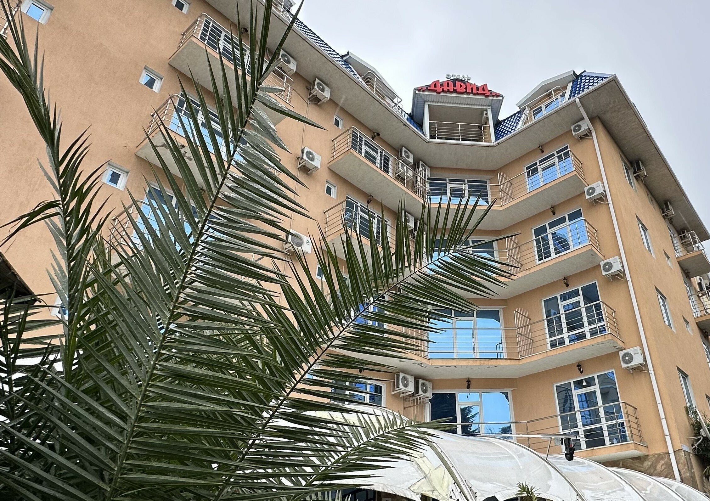 Фото Давид Олимпик