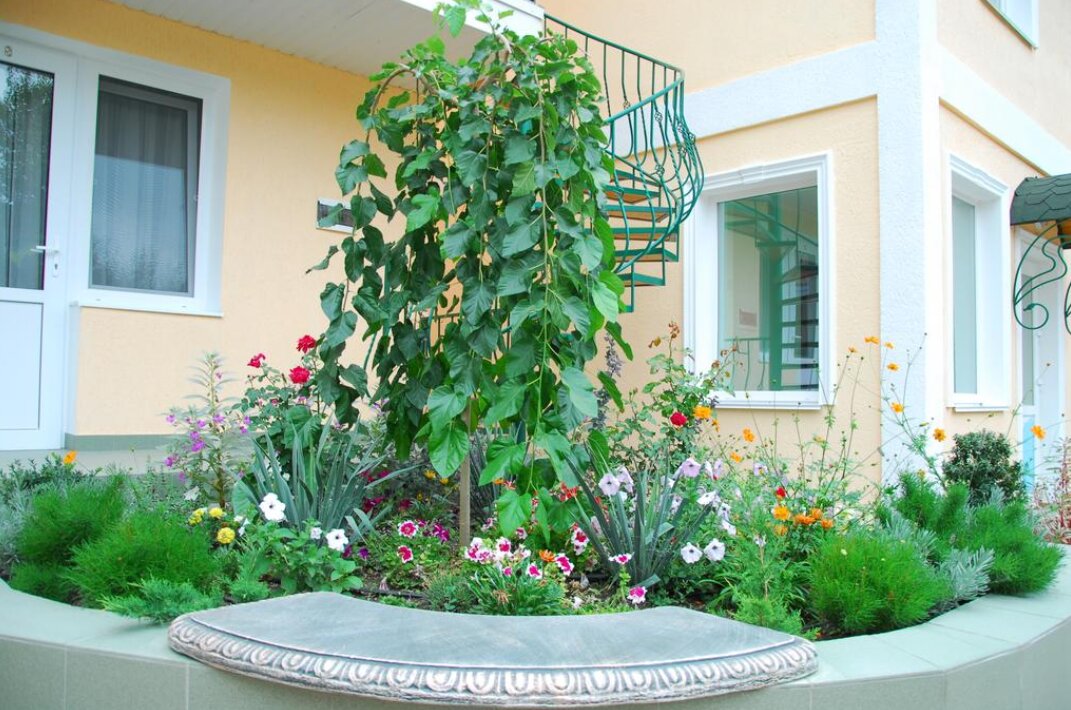 Фото Пансион Кафа