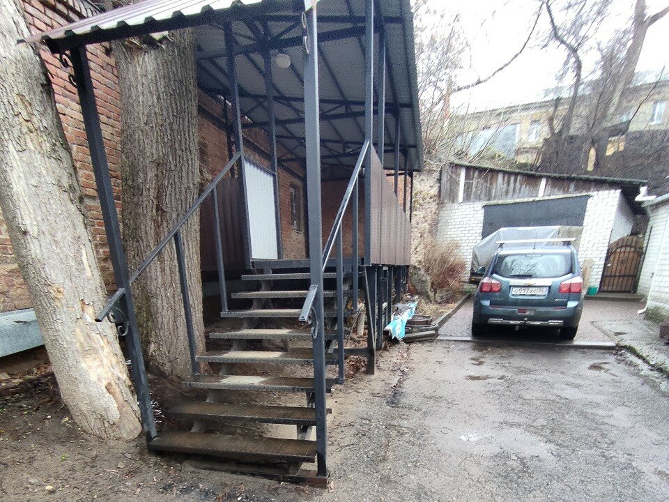 Фото Лектус