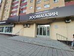Вишнёвый барбус (ulitsa Dzerzhinskogo, 18), pet shop