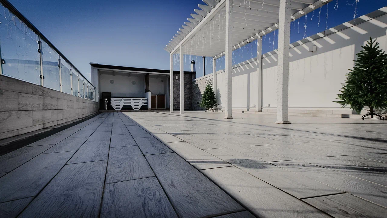 Фото Старый Лис