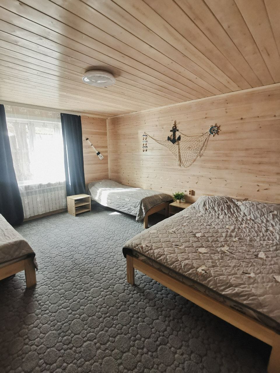 Фото Рыжая сова