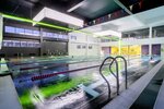 Xfit (Fedosyino Street, 12), fitness club
