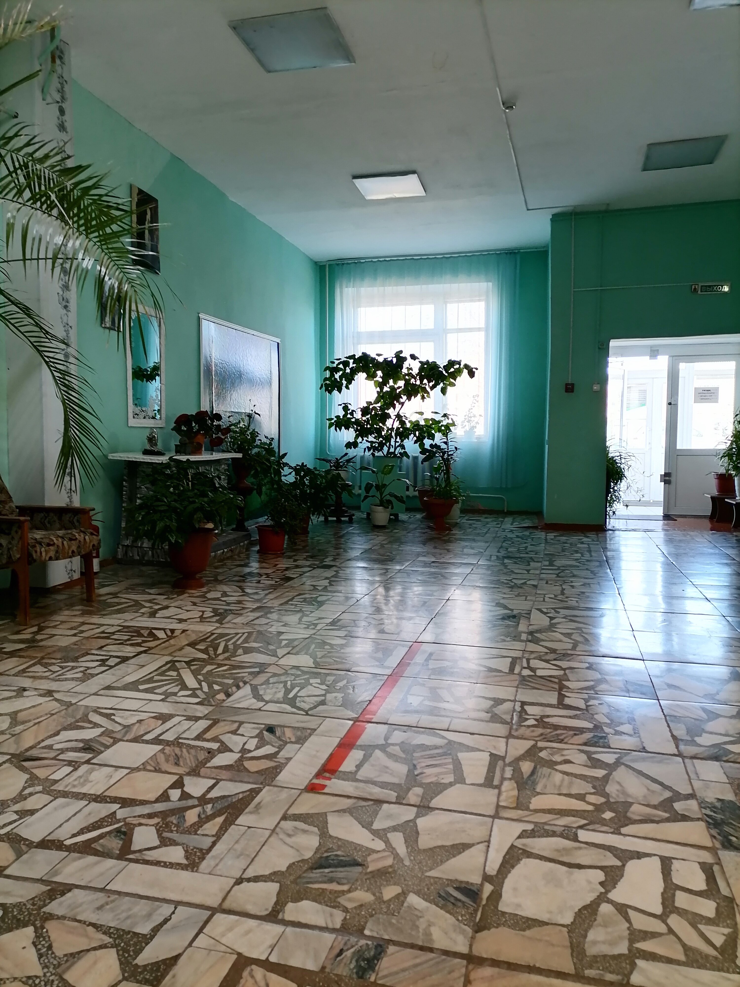 Фото Березка