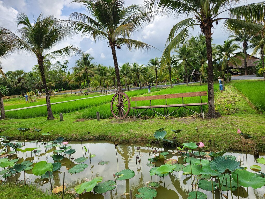 Entertainment center Old Phuket Farm, Phuket Province, photo