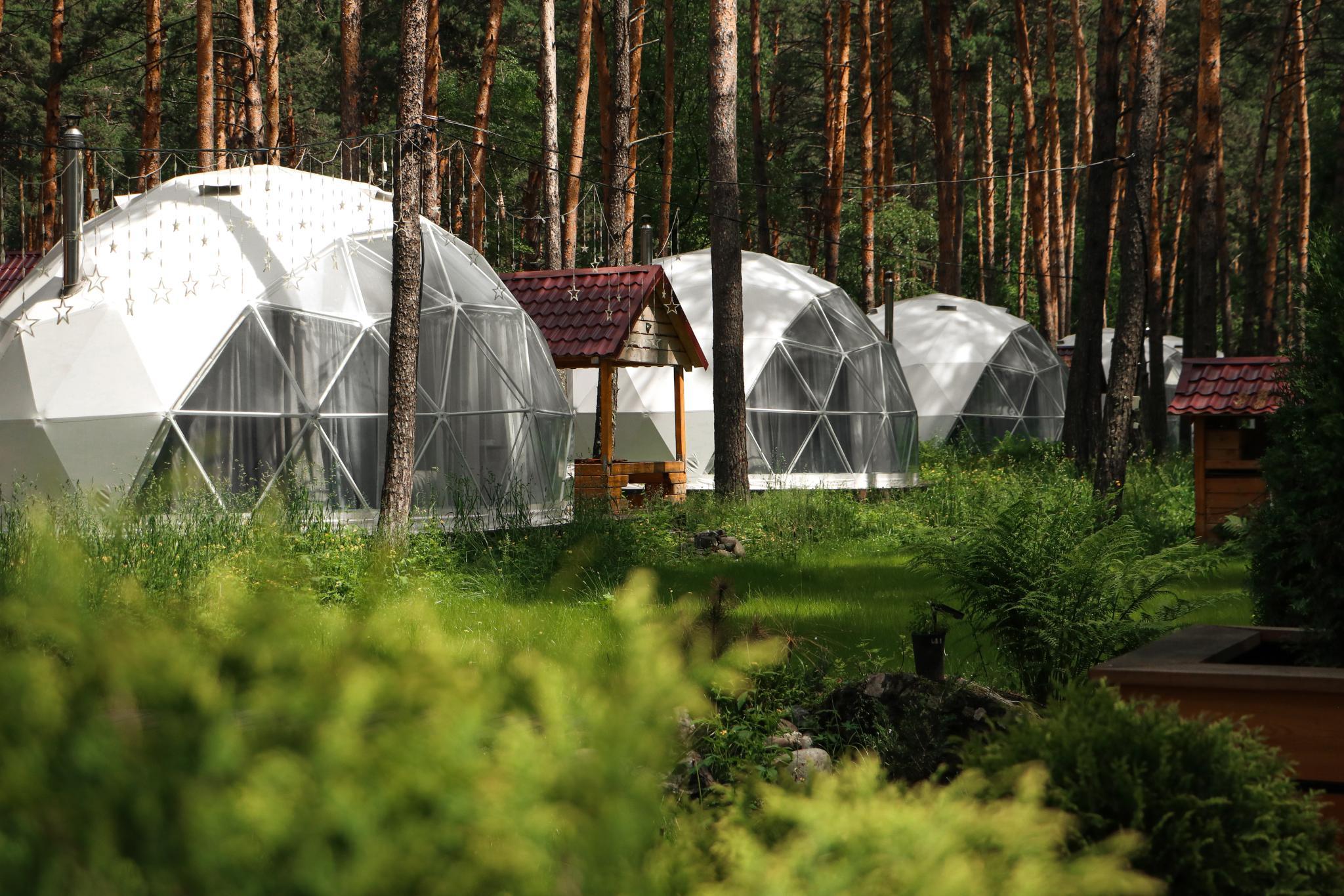 Фото Купольная база Royal Forest