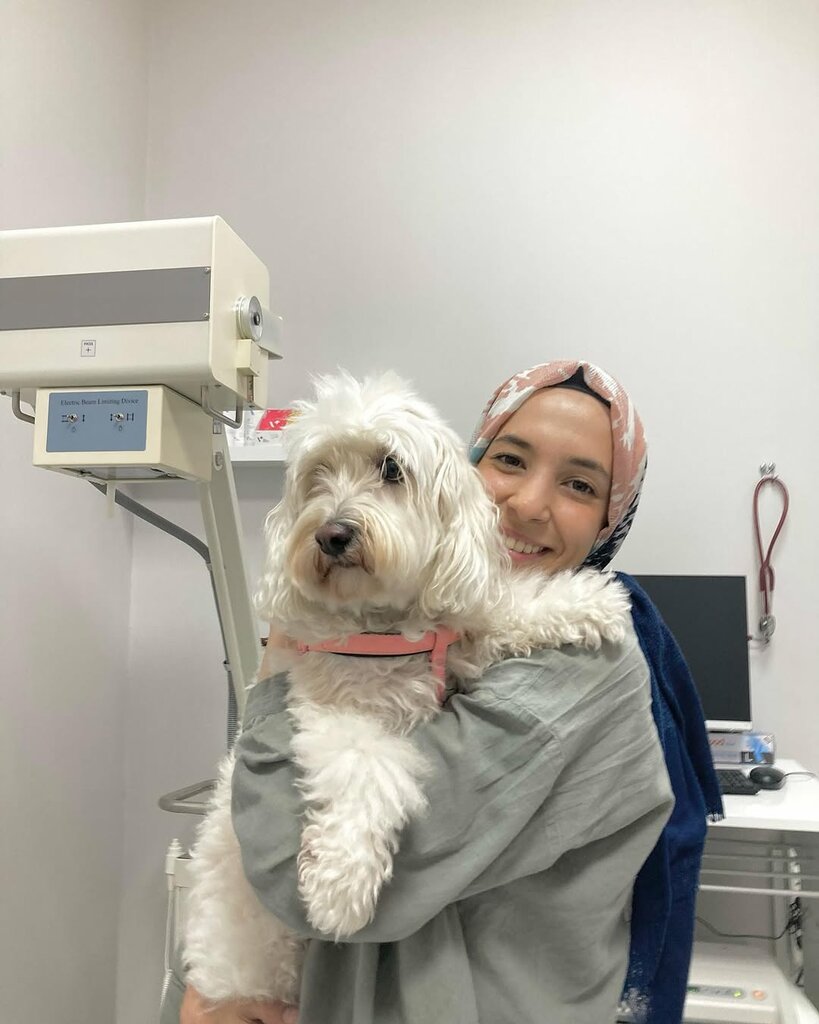 عيادة بيطرية Sakarya Vetipati Veterinary Clinic ، ، صورة