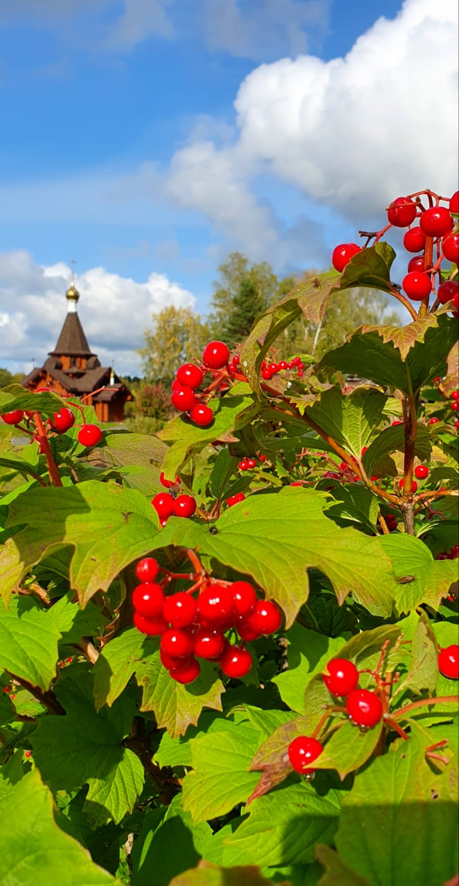 Фото Hunter Paradise