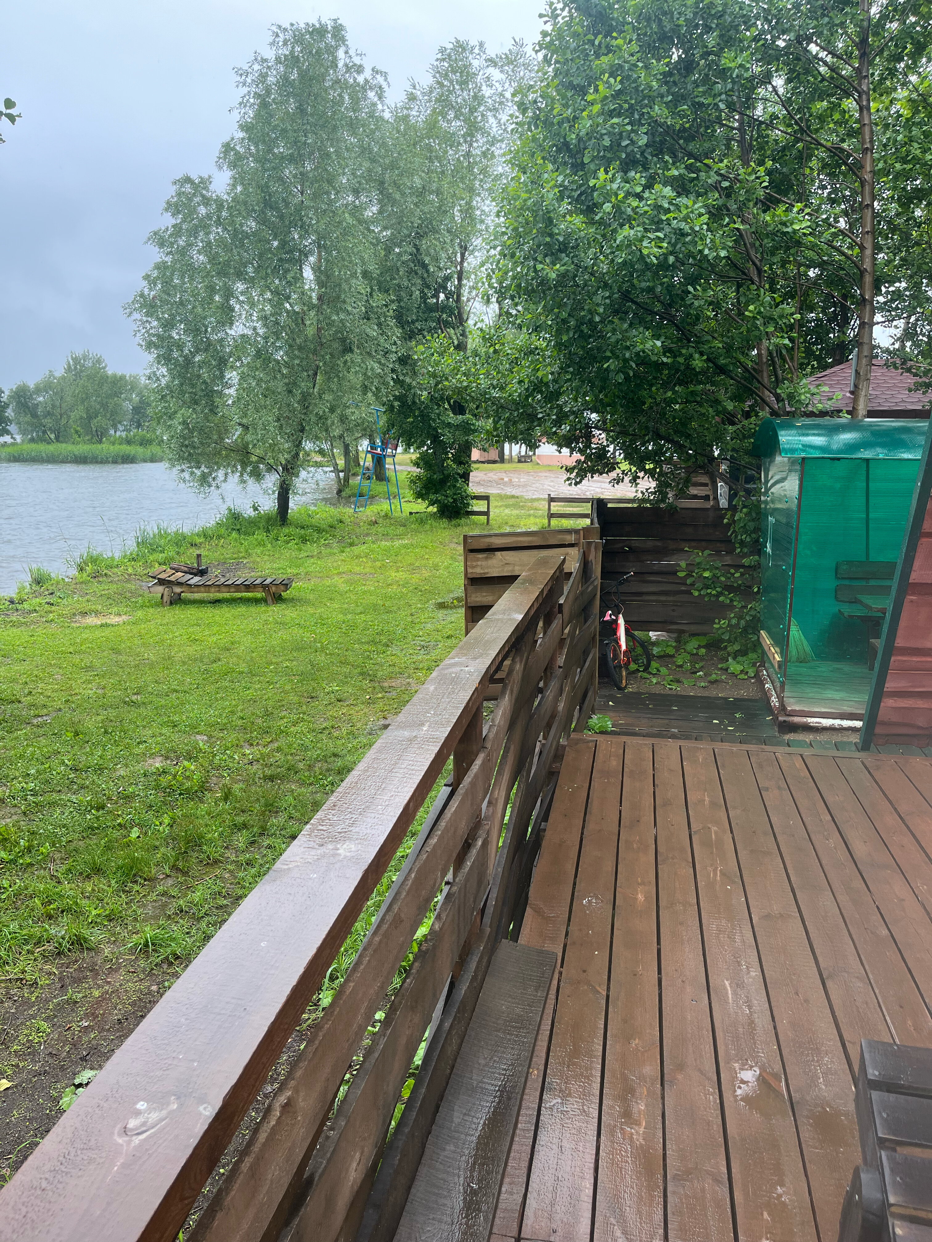 Фото Облепиха